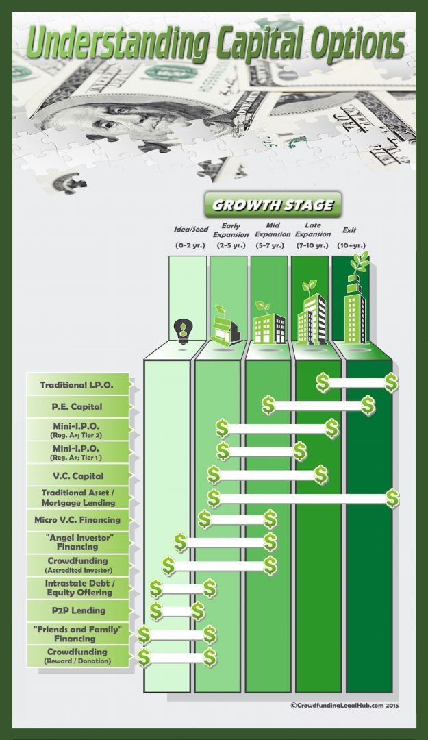Understanding-Capital-Raising-Options-Infographic (Chart)